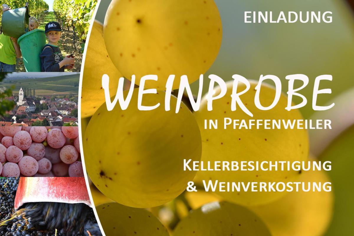 プファッフェンヴァイラーAm Weinberg - Stilvoll, Ruhig, Zum Wohlfuehlenアパートメント エクステリア 写真